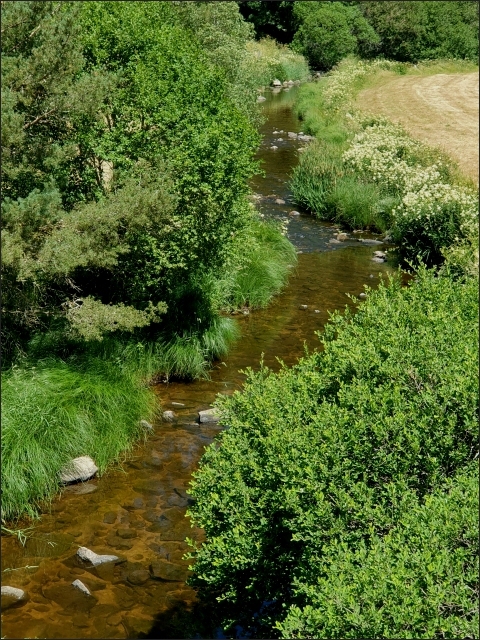 photo21
