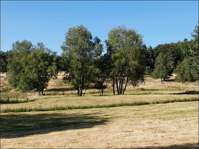 photo5