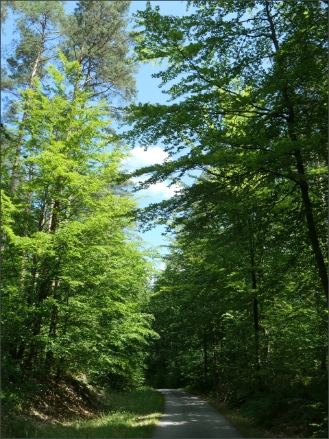 photo16