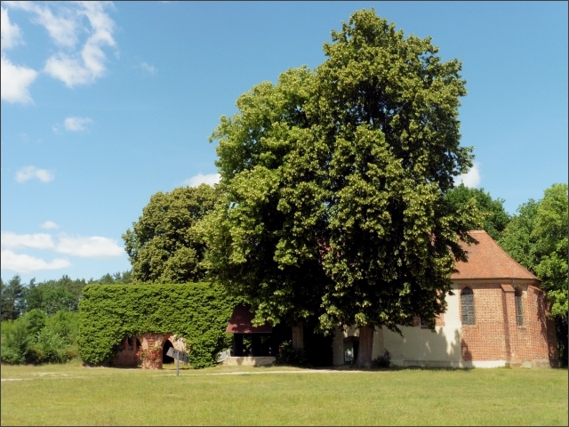 photo19