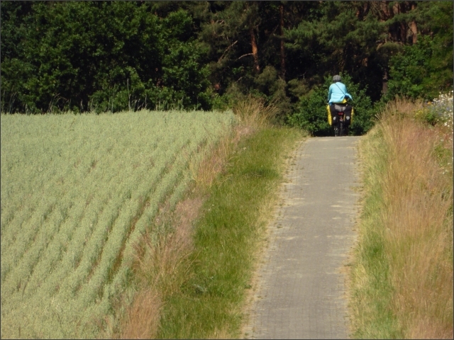 photo30
