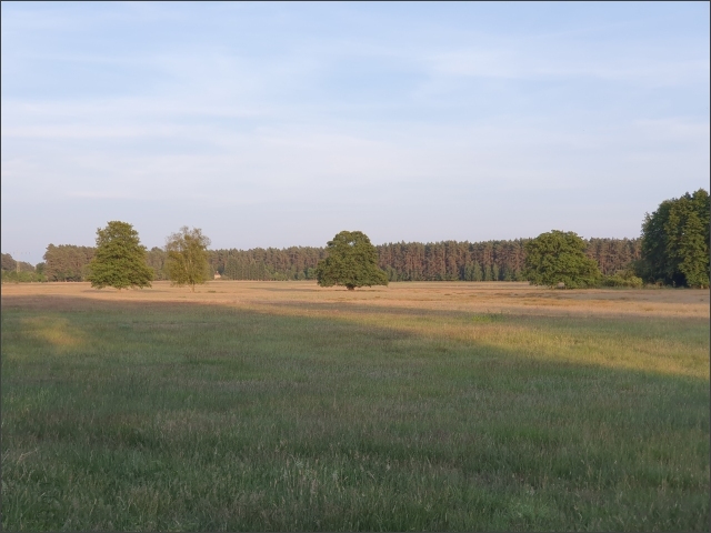 photo36