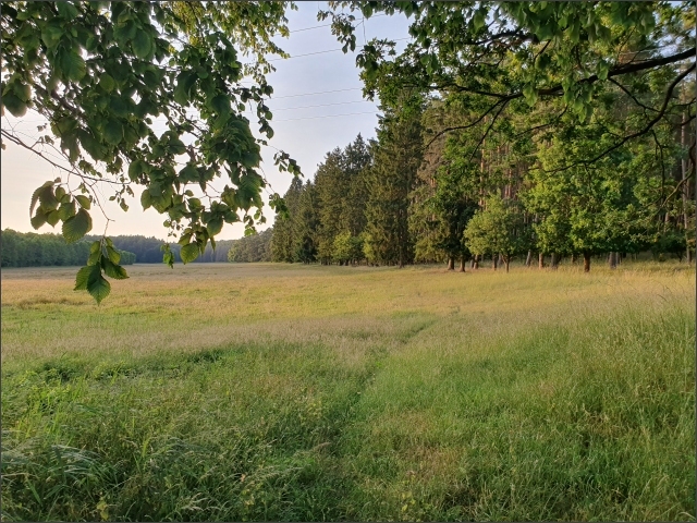 photo37