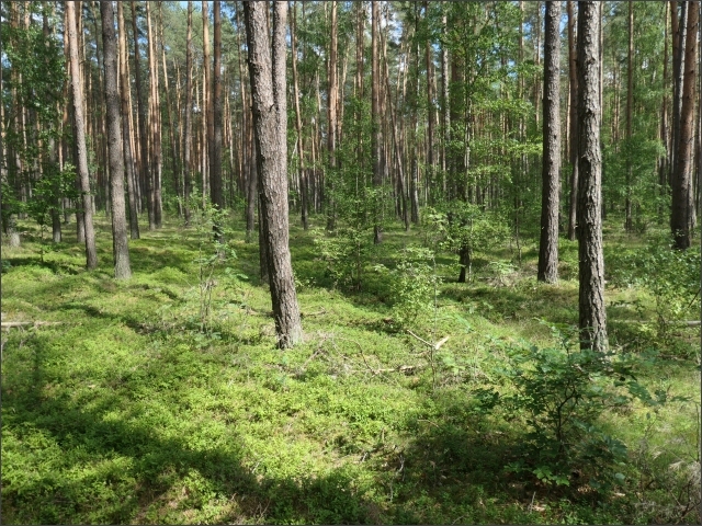 photo6