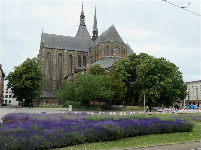 photo61