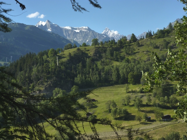 les sommets de l'Oberland bernois